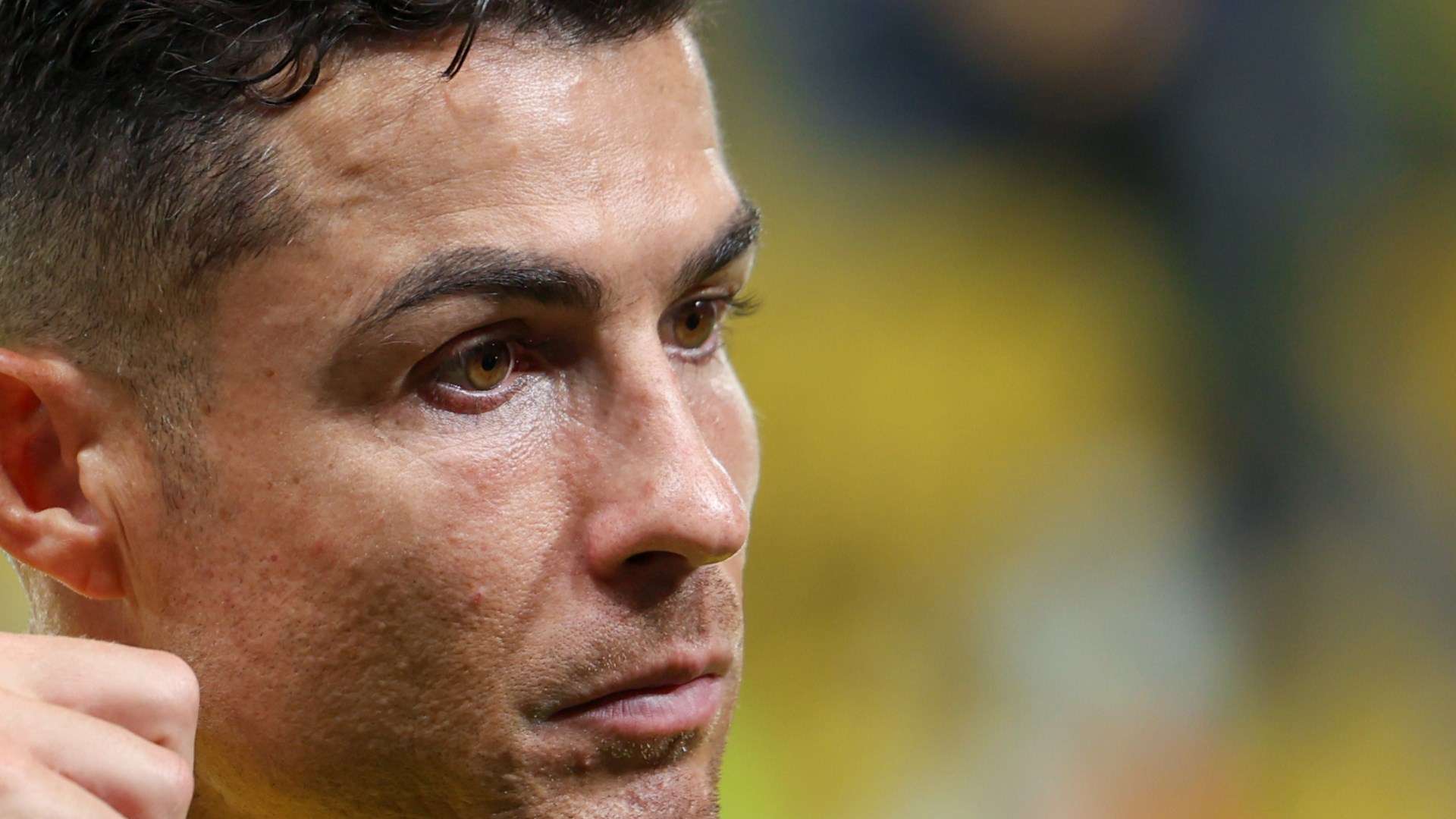 的黑马之一 的黑马之一